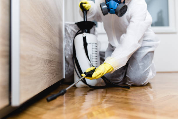 Pest Prevention Services in Winterville, GA