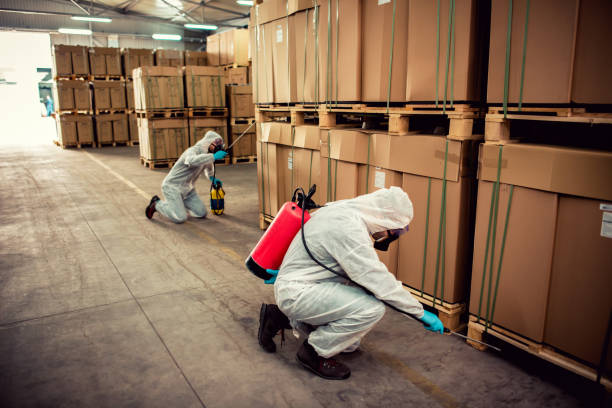 Best Local Pest Control Services  in Winterville, GA