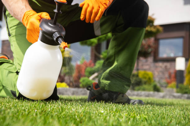 Professional Pest Control in Winterville, GA