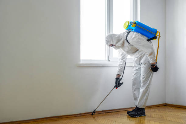 Best Residential Pest Control  in Winterville, GA