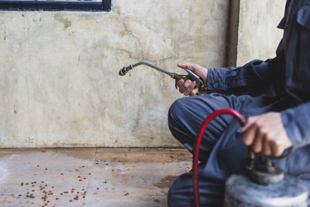 Best Emergency Pest Control  in Winterville, GA